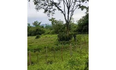 VENDO 70 HECTAREAS TITULADAS 25 MIN CHANGUINOLA
