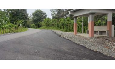 VENDO 70 HECTAREAS TITULADAS 25 MIN CHANGUINOLA