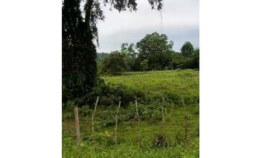 VENDO 70 HECTAREAS TITULADAS 25 MIN CHANGUINOLA
