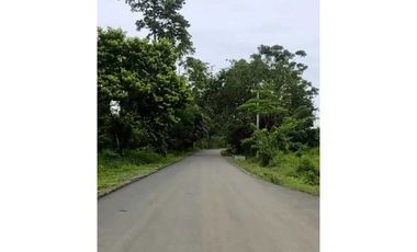 VENDO 70 HECTAREAS TITULADAS 25 MIN CHANGUINOLA