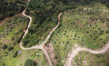 finca en venta en titiribí. Cod V11682