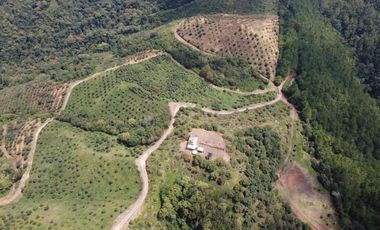 finca en venta en titiribí. Cod V11682