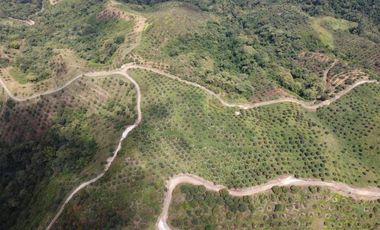 finca en venta en titiribí. Cod V11682