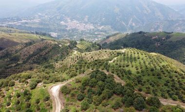 finca en venta en titiribí. Cod V11682