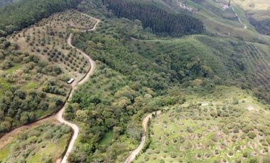 finca en venta en titiribí. Cod V11682