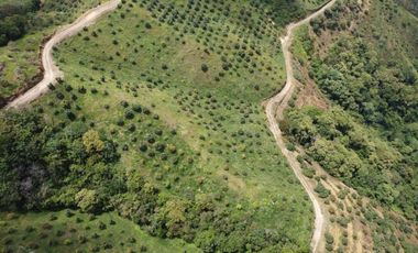 finca en venta en titiribí. Cod V11682