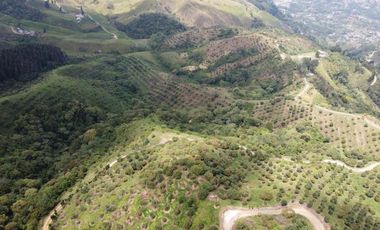 finca en venta en titiribí. Cod V11682