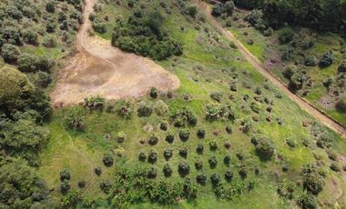finca en venta en titiribí. Cod V11682