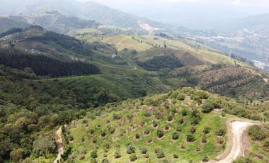 finca en venta en titiribí. Cod V11682