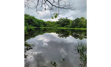 FINCA PARA VENTA DE 27 HECTAREAS EN CLEMENCIA, BOLVAR