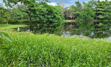 FINCA PARA VENTA DE 27 HECTAREAS EN CLEMENCIA, BOLVAR
