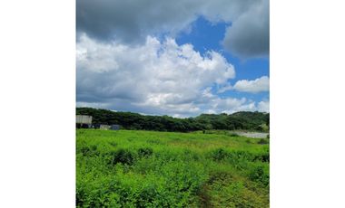 FINCA PARA VENTA DE 27 HECTAREAS EN CLEMENCIA, BOLVAR