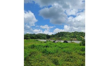 FINCA PARA VENTA DE 27 HECTAREAS EN CLEMENCIA, BOLVAR