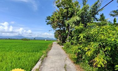 Tanah dijual di Ngombol, Purworejo