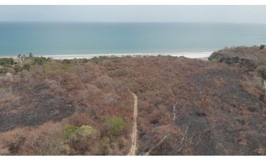 Venta de finca con frente de playa en San Carlos (El Higo) GTA