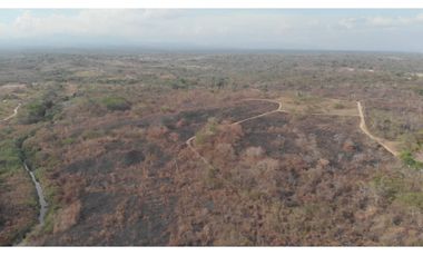 Venta de finca con frente de playa en San Carlos (El Higo) GTA
