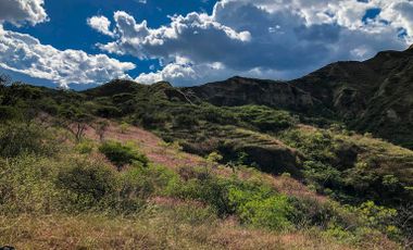 En Venta Finca de 6.2 Hectáreas en Quinara