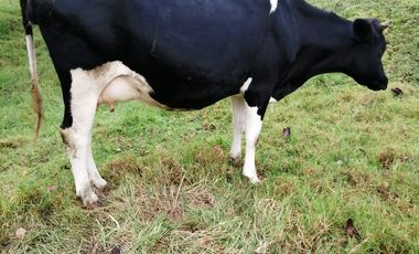 finca en venta en pacho. Cod V4150