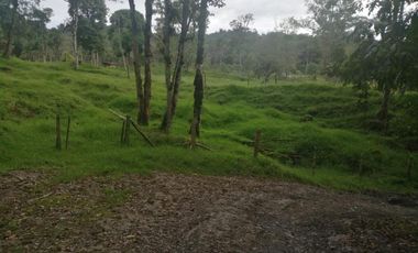 finca en venta en pacho. Cod V4150