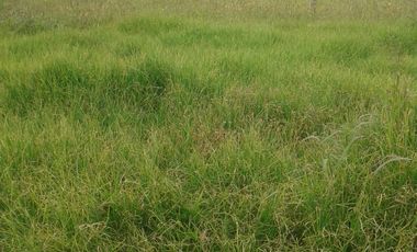 finca en venta en pacho. Cod V4150