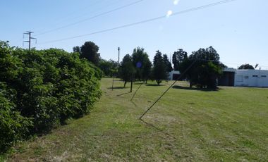 MOTEL-HOTEL 7 piezas-