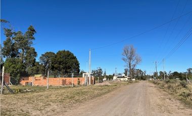 terreno