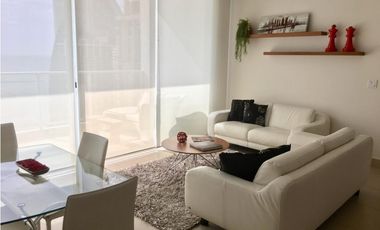 ALQUILER APARTAMENTO AMOBLADO LUJO PUNTA PACIFICA