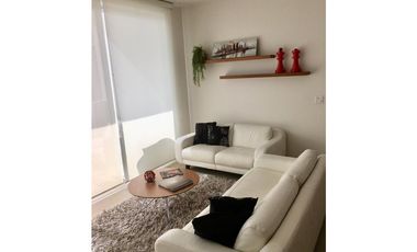 ALQUILER APARTAMENTO AMOBLADO LUJO PUNTA PACIFICA