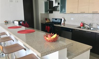 ALQUILER APARTAMENTO AMOBLADO LUJO PUNTA PACIFICA