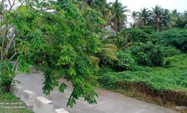 1 Hectare (10,000 Sq. M.) Road Frontage Commercial Titled Lot, Buhangin, Baler, Aurora, Philippines