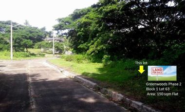 Very Affordable 150 Sqm Residential Lot for Sale in Greenwoods near Talamban Cebu City