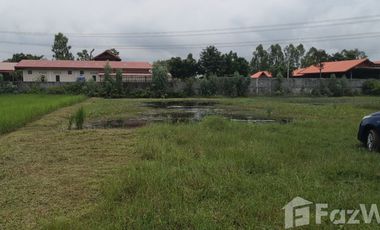 Land for sale in Nuea Mueang, Roi Et