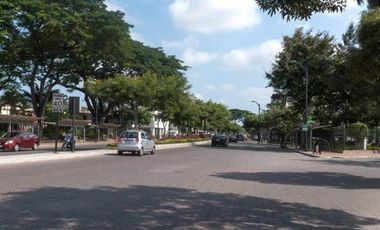 ALQUILO Departamento Semi-amoblado en Urdesa Central, Bálsamos Sur 309