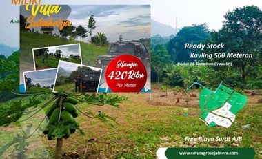 Tanah Kebun bisa kerjasama sampai panen