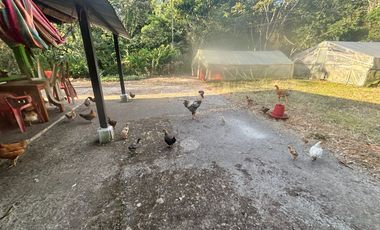 finca en venta en colombia / cundinamarca / guaduas /  verede la cum. Cod V9499332