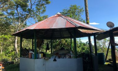 finca en venta en colombia / cundinamarca / guaduas /  verede la cum. Cod V9499332
