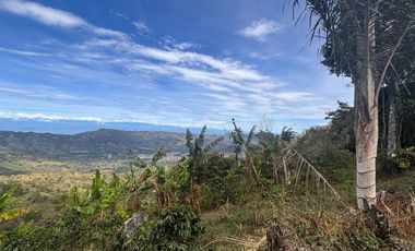 finca en venta en colombia / cundinamarca / guaduas /  verede la cum. Cod V9499332