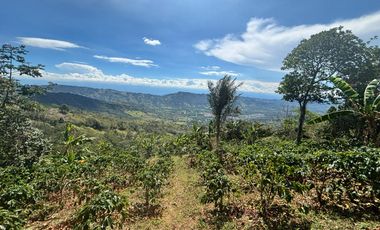 finca en venta en colombia / cundinamarca / guaduas /  verede la cum. Cod V9499332