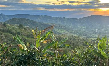 finca en venta en colombia / cundinamarca / guaduas /  verede la cum. Cod V9499332