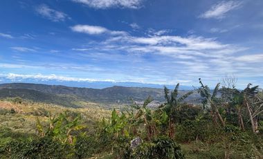 finca en venta en colombia / cundinamarca / guaduas /  verede la cum. Cod V9499332