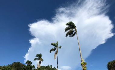 finca en venta en colombia / cundinamarca / guaduas /  verede la cum. Cod V9499332
