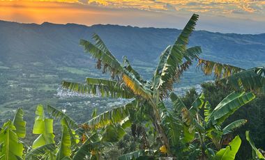 finca en venta en colombia / cundinamarca / guaduas /  verede la cum. Cod V9499332