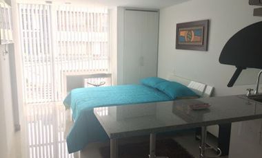 APARTAESTUDIO EN ARRIENDO EN PALERMO