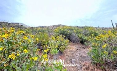 Sitio En Venta Con Vista, Hacienda Chicureo