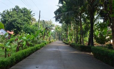 Dijual Tanah Dekat Ketawang SHM Jalan Nasional