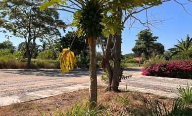 VENTA TERRENO LA CEIBA MANZANILLO