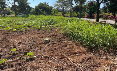 VENTA TERRENO LA CEIBA MANZANILLO
