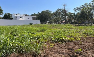 VENTA TERRENO LA CEIBA MANZANILLO