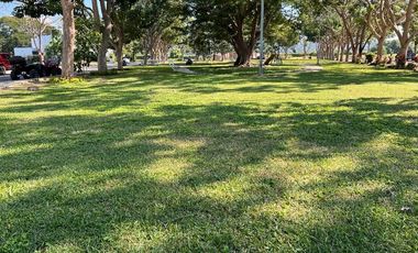 VENTA TERRENO LA CEIBA MANZANILLO