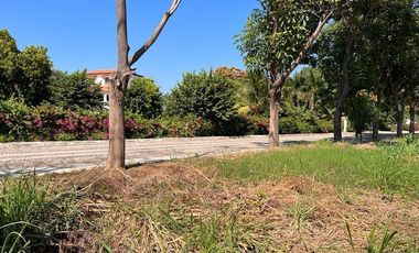 VENTA TERRENO LA CEIBA MANZANILLO